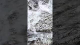 Water flow sound | so soothing for mind #Apu #Nature