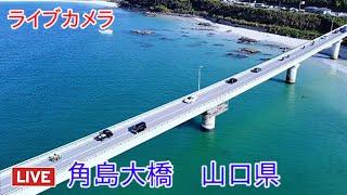 ライブカメラ　角島大橋　山口県　Livecam Tsunoshima Ohashi Yamaguchi Prefecture