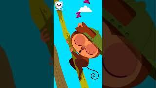 Unusual Animals | Unusual Series | Animal Song | Kids Song | TOMTOMI