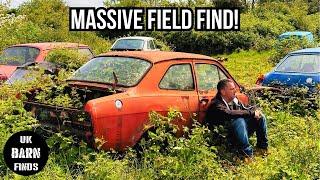 Barn Find Rescue | Massive Field Find