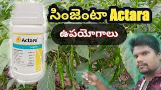 Syngenta Company Actara Insecticide Telugu // Thiamethoxam 25%WG // My Wildlife Agriculture Telugu