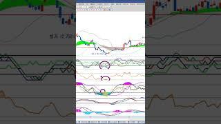 투자심리도 활용법 및 스토케스틱 RSI 오류 정정