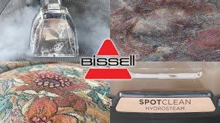 Steam-Powered Stain Removal With Bissell