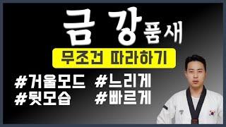  태권도 금강 품새 거울 모드 뒷모습 / 집에서배우는태권도