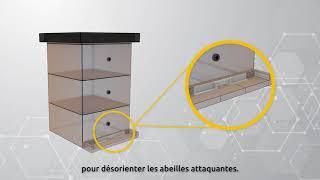 Le corridor d’abeilles pour la prévention du pillage d’abeilles