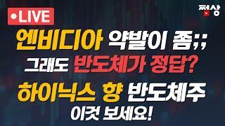 [쩜상 시크릿] 오늘 반도체 안좋아도 이 종목 봐야합니다! HLB 주가 회복 가능한가?