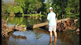 Topwater Frog Fishing in EXTREMELY Shallow Water!