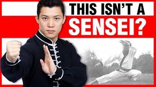 Not a Sensei? | ART OF ONE DOJO