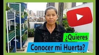 Hoy te presento Mi Huerta Casera – y Cosecharemos  junto a Cultivos Urbanos