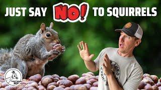 SQUIRRELS Are Cute But DESTRUCTIVE | Squirrels Ruined Our Trailer | Here Is How I Fixed It