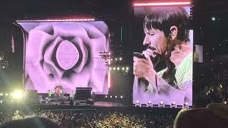 Red Hot Chili Peppers／WORD TOUR 2023 LIVE IN JAPAN／Osaka／2023.2.21