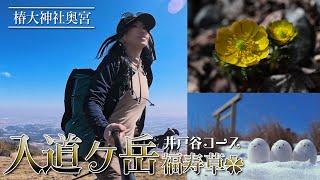 【雪山登山Vlog】春季 入道ヶ岳 - 井戸谷コースの福寿草と椿大神社奥宮