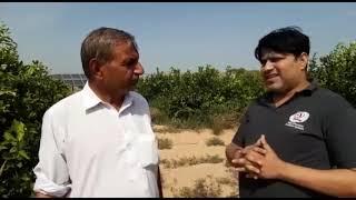 Drip Irrigation system Success story 3