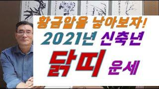 2021년 닭띠운세,닭띠사주 황금알을 낳자! 2021년 신축년 닭띠운세 -93년계유생,81년신유생,69년 기유생,57년 정유생,45년 을유생
