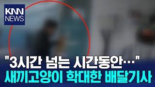 새끼고양이 학대한 배달기사 재판행 / KNN