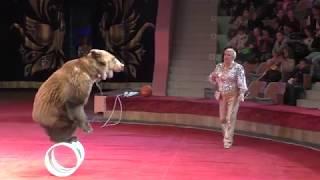 Огромные медведи на арене цирка. Huge bears in the circus arena.