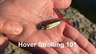 Hover Strolling 101 with Fish Arrow Flash J