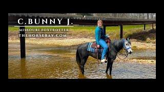 "Meet Bunny" Registered Missouri Foxtrotter Mare For Sale (Gaited/Trail/Ranch)