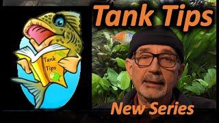 Tank Tips Launch Announcement- Halfman Halfcichlid Youtube Channel