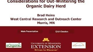 Considerations for Out-Wintering the Organic Dairy Herd Webinar by eOrganic