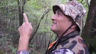 Wild boar hunting (with subtitle)