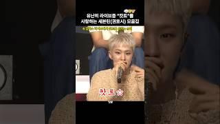 [세븐틴/슈순뀨]자꾸 생방중에 캇트를 외쳐요