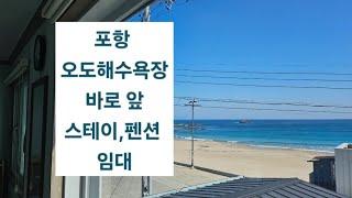 포항 오도해수욕장 바로 앞 여름 시즌 최고의 위치  높은 수익률의 스테이, 주택, 펜션 임대