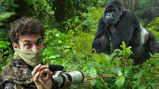 DAĞ GORİLLERİNE YOLCULUK; UGANDA!