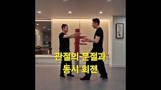 관절의 분절성(The Separation of Joints) #서상전영춘권 #wingchunkungfu