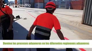 CURSO DE ACTUALIZACION Y REVALIDACIÓN PARA AUXILIARES DE DESPACHO ADUANERO - ERCA CONSULTING