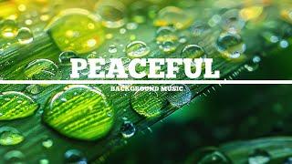 Peaceful Background Music : Free MP3 Download