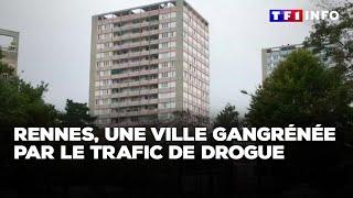 Fusillade à Rennes, une ville gangrénée par le trafic de drogue｜TF1 INFO