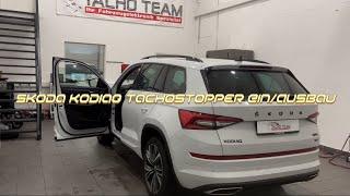 Skoda Kodiaq Tachostopper Ein/Ausbau Tutorial ￼