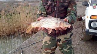 Fishing (Shirvan canal and Kur river) 3.24