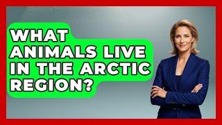 What Animals Live in the Arctic Region? | Polar Regions Uncovered