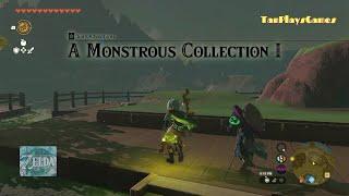 A Monstrous Collection I : Zelda Tears Of The Kingdom.