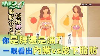 身材像蘋果還是梨？ 一眼看出內臟vs.皮下脂肪 健康2.0