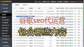 谷歌seo代运营包含哪些内容（谷歌seo需要做什么的）
