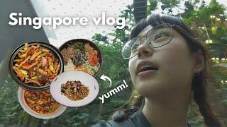  Singapore Vlog 1 | My First Time in Singapore!