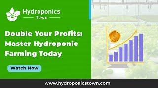 Double Your Profits: Master Hydroponic Farming Today—Hydroponics Town