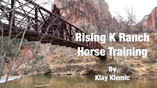 Honey: A Horse 90 Days into Training at Rising K Ranch- by Klay Klemic