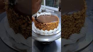 Chocolate cake with brown coconut  chips /Shorts