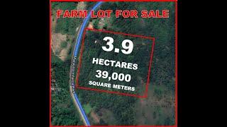 FARM LOT FOR SALE Along MARILAQUE Highway TANAY, RIZAL