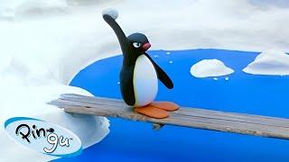 Pingu Seeks Revenge  | Pingu - Official Channel | Cartoons For Kids