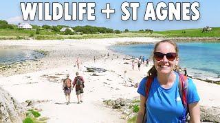 St. Agnes + Gugh, Isles of Scilly