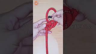 How to tie knots rope diy idea for you #diy #viral #shorts ep2161