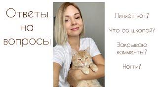 Ответы на вопросы! Школа. Кот. Закрытие комментариев. Маникюр 