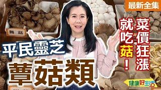 健康好生活  20241112  菜價狂漲就吃菇！平民靈芝「蕈菇類」