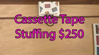 Cassette Tape Binder! | Savings Challenges | Cash Stuffing $250 | Counting Cash | Mini Savings Books