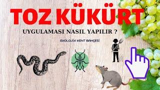 TOZ KÜKÜRT UYGULAMASI NASIL YAPILIR ?